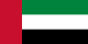 Dubai (UAE) flag